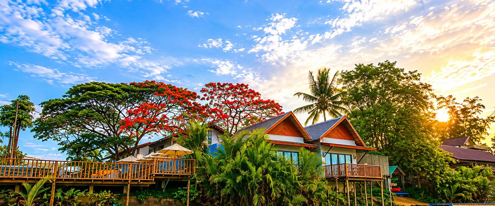 Morning Tree Resort seen from the river at golden hour, timber bungalows under a flowering flame tree